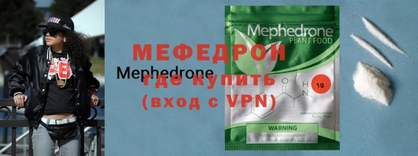 индика Новодвинск