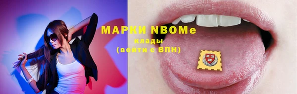 индика Новодвинск