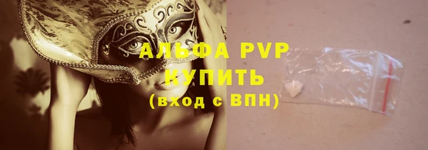 прущие грибы Новокубанск