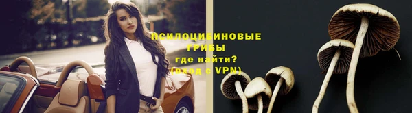 ПСИЛОЦИБИНОВЫЕ ГРИБЫ Нефтекумск
