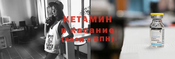 индика Новодвинск