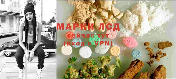 2c-b Ельня