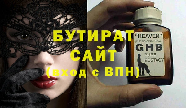индика Новодвинск