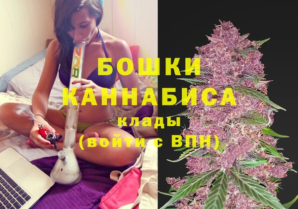 spice Нея
