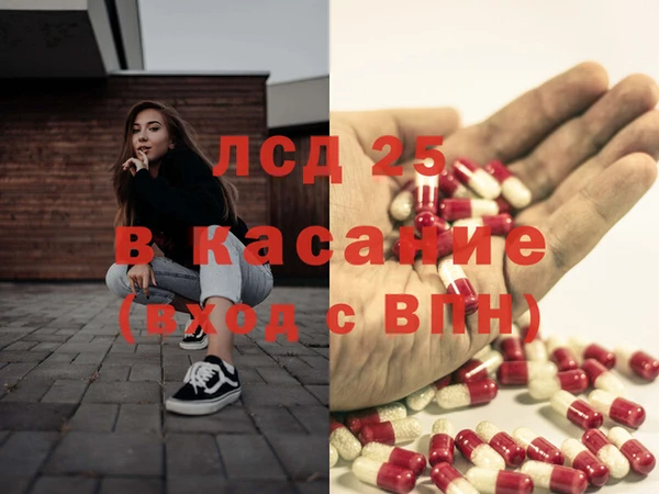 индика Новодвинск