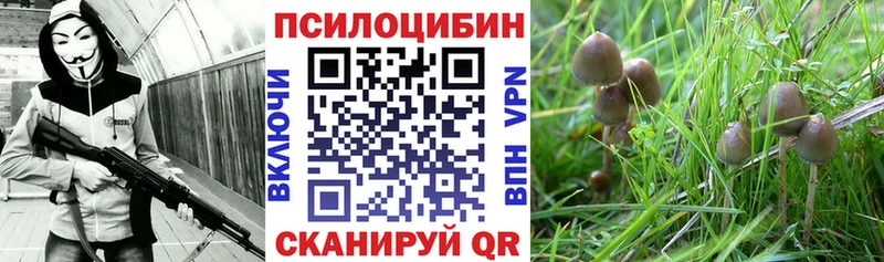 Галлюциногенные грибы мицелий  купить закладку  Котельниково 